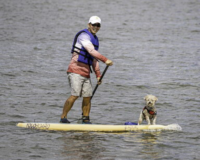 a man and his dog are paddle boarding in the water