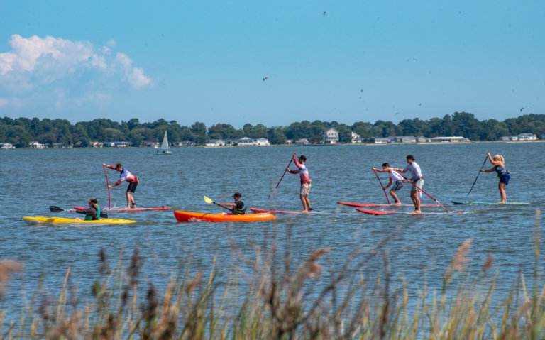 a group of people riding paddle boards on top of a lake