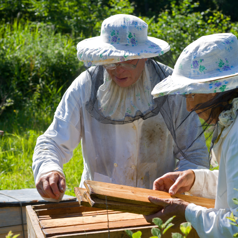 two people in white hats looking at a beehive